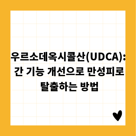 우르소데옥시콜산(UDCA): 간 기능 개선으로 만성피로 탈출하는 방법
