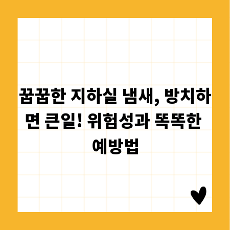 꿉꿉한 지하실 냄새, 방치하면 큰일! 위험성과 똑똑한 예방법