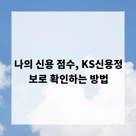 나의 신용 점수, KS신용정보로 확인하는 방법