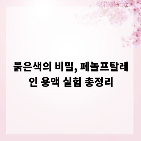 붉은색의 비밀, 페놀프탈레인 용액 실험 총정리