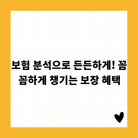 보험 분석으로 든든하게! 꼼꼼하게 챙기는 보장 혜택