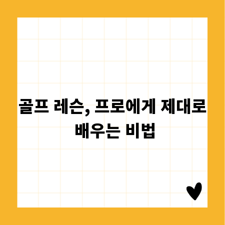 골프 레슨, 프로에게 제대로 배우는 비법