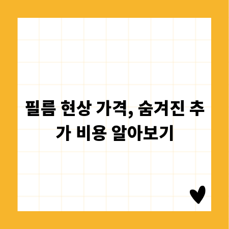 필름 현상 가격, 숨겨진 추가 비용 알아보기