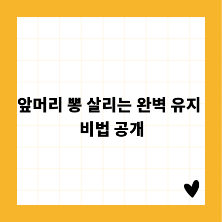 앞머리 뽕 살리는 완벽 유지 비법 공개