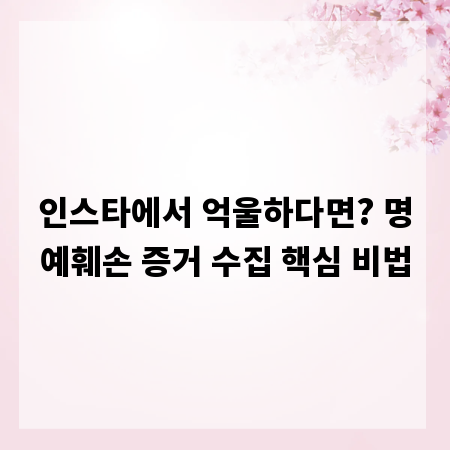 인스타에서 억울하다면? 명예훼손 증거 수집 핵심 비법