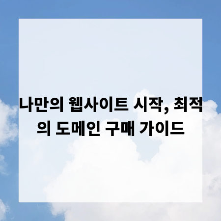 나만의 웹사이트 시작, 최적의 도메인 구매 가이드