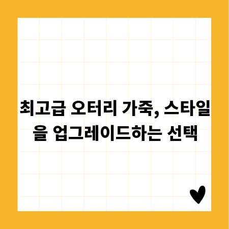 최고급 오터리 가죽, 스타일을 업그레이드하는 선택