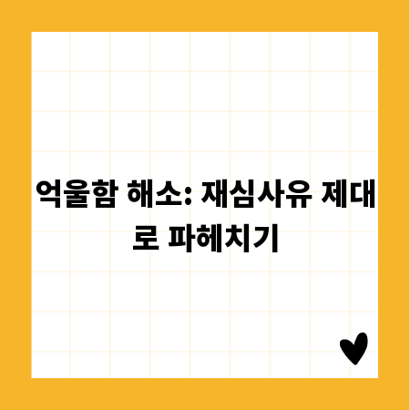 억울함 해소: 재심사유 제대로 파헤치기