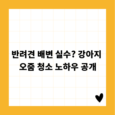 가정 전기 안전, 전문가처럼 지키는 5가지 방법