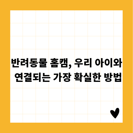 반려동물 홈캠, 우리 아이와 연결되는 가장 확실한 방법