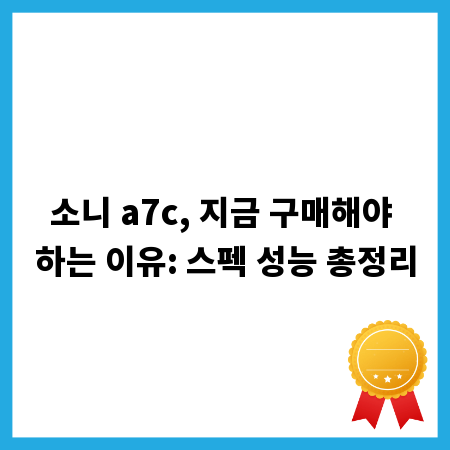소니 a7c, 지금 구매해야 하는 이유: 스펙 성능 총정리