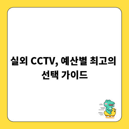 실외 CCTV, 예산별 최고의 선택 가이드