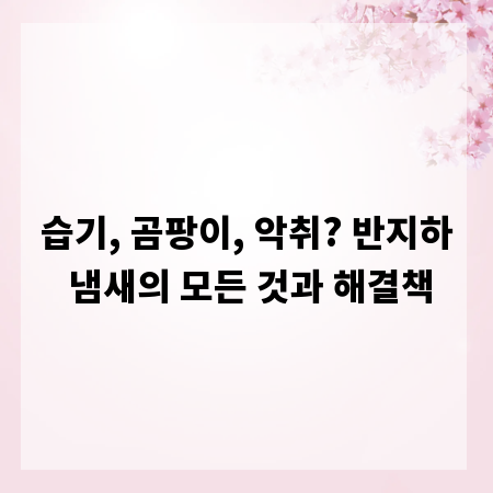 습기, 곰팡이, 악취? 반지하 냄새의 모든 것과 해결책
