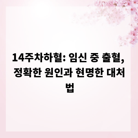 14주차하혈: 임신 중 출혈, 정확한 원인과 현명한 대처법