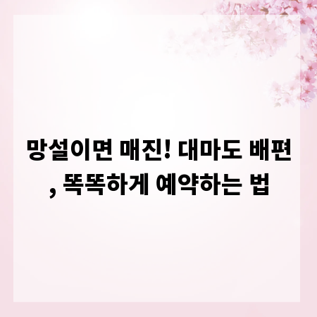 망설이면 매진! 대마도 배편, 똑똑하게 예약하는 법