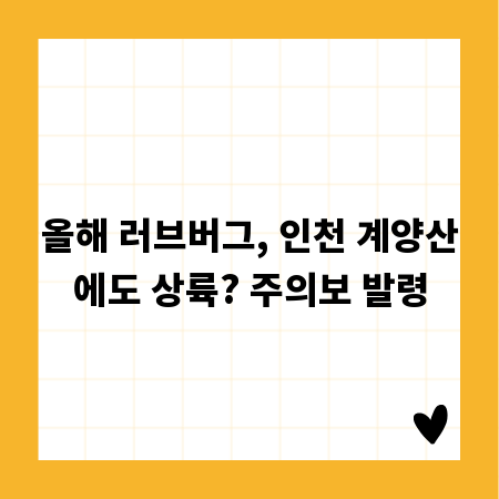 올해 러브버그, 인천 계양산에도 상륙? 주의보 발령