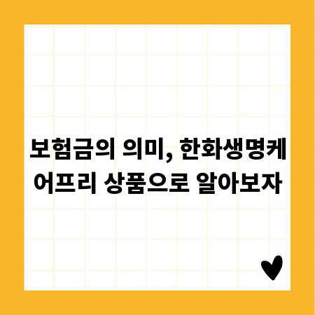 보험금의 의미, 한화생명케어프리 상품으로 알아보자