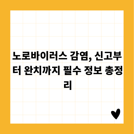 노로바이러스 감염, 신고부터 완치까지 필수 정보 총정리