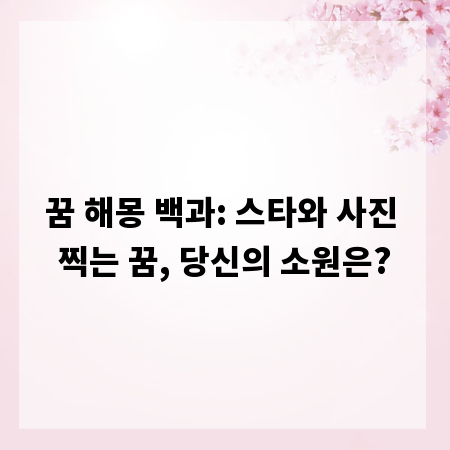 꿈 해몽 백과: 스타와 사진 찍는 꿈, 당신의 소원은?