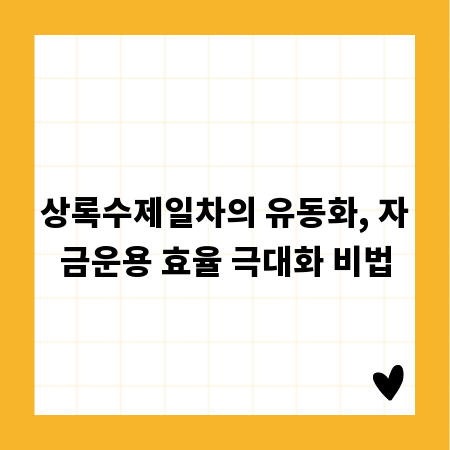 상록수제일차의 유동화, 자금운용 효율 극대화 비법