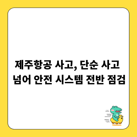제주항공 사고, 단순 사고 넘어 안전 시스템 전반 점검