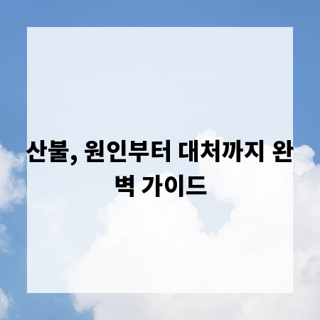 산불, 원인부터 대처까지 완벽 가이드