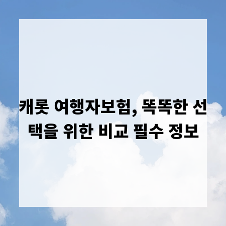 캐롯 여행자보험, 똑똑한 선택을 위한 비교 필수 정보