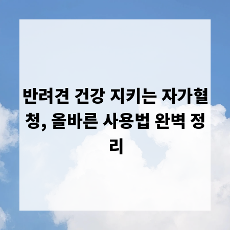 반려견 건강 지키는 자가혈청, 올바른 사용법 완벽 정리