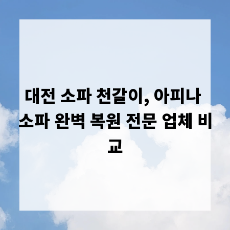 대전 소파 천갈이, 아피나 소파 완벽 복원 전문 업체 비교