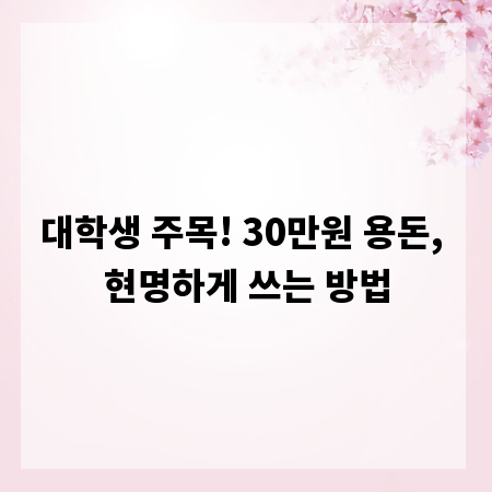 대학생 주목! 30만원 용돈, 현명하게 쓰는 방법