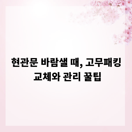 현관문 바람샐 때, 고무패킹 교체와 관리 꿀팁