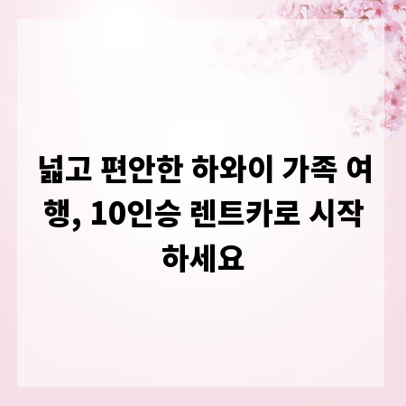 넓고 편안한 하와이 가족 여행, 10인승 렌트카로 시작하세요