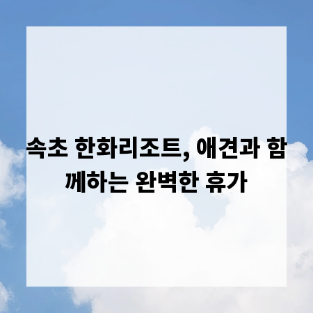속초 한화리조트, 애견과 함께하는 완벽한 휴가