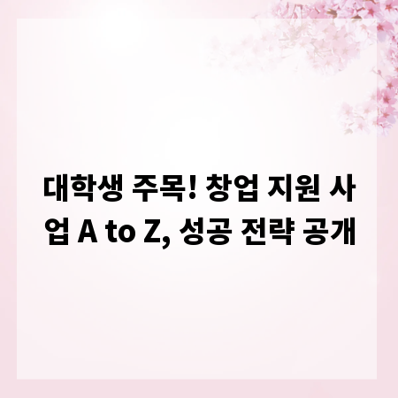 대학생 주목! 창업 지원 사업 A to Z, 성공 전략 공개