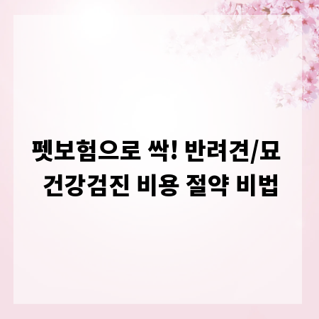 펫보험으로 싹! 반려견/묘 건강검진 비용 절약 비법