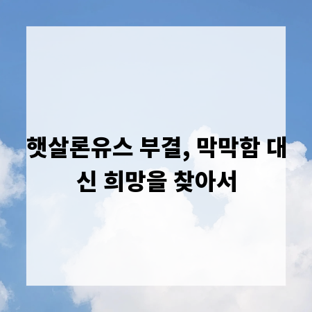 햇살론유스 부결, 막막함 대신 희망을 찾아서