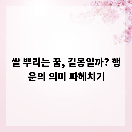 쌀 뿌리는 꿈, 길몽일까? 행운의 의미 파헤치기