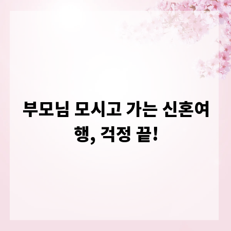 부모님 모시고 가는 신혼여행, 걱정 끝!