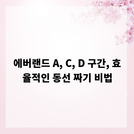에버랜드 A, C, D 구간, 효율적인 동선 짜기 비법