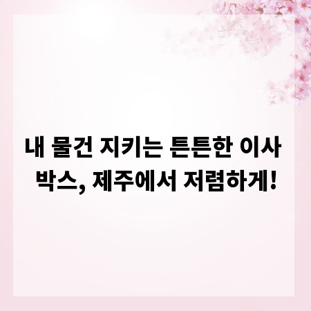 내 물건 지키는 튼튼한 이사 박스, 제주에서 저렴하게!