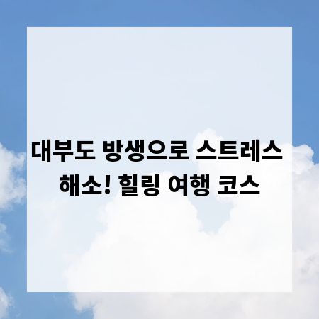 대부도 방생으로 스트레스 해소! 힐링 여행 코스