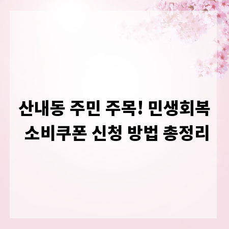 산내동 주민 주목! 민생회복 소비쿠폰 신청 방법 총정리