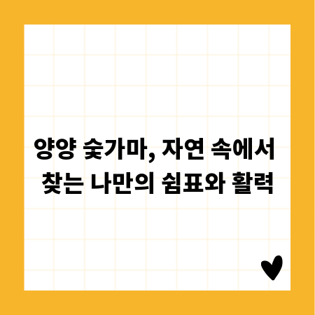 양양 숯가마, 자연 속에서 찾는 나만의 쉼표와 활력