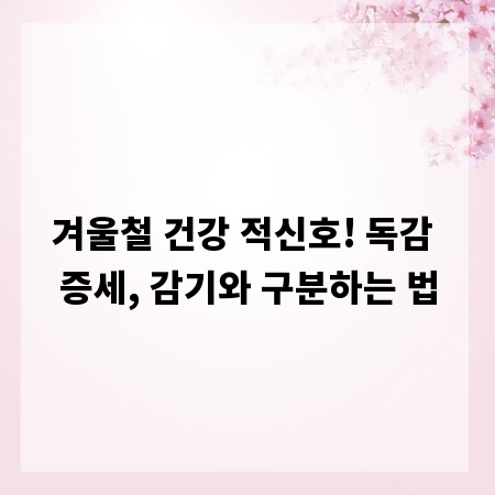 겨울철 건강 적신호! 독감 증세, 감기와 구분하는 법