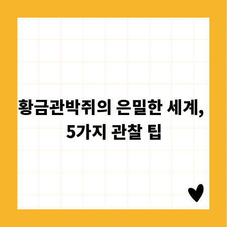 황금관박쥐의 은밀한 세계, 5가지 관찰 팁
