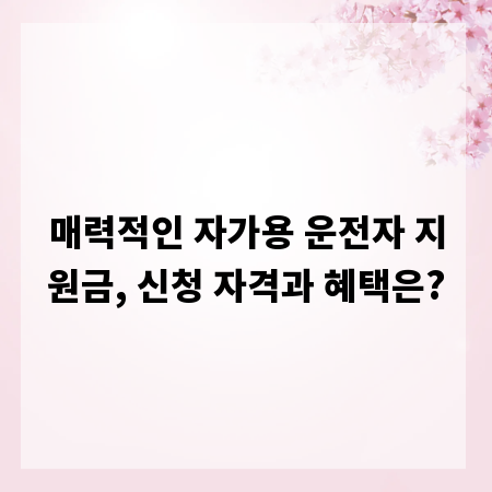 매력적인 자가용 운전자 지원금, 신청 자격과 혜택은?