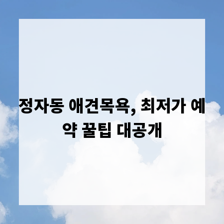 정자동 애견목욕, 최저가 예약 꿀팁 대공개