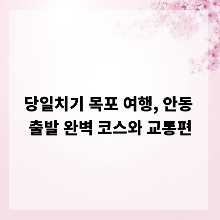 당일치기 목포 여행, 안동 출발 완벽 코스와 교통편