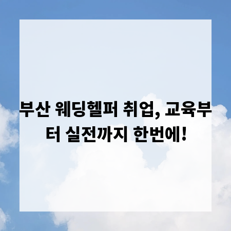 부산 웨딩헬퍼 취업, 교육부터 실전까지 한번에!