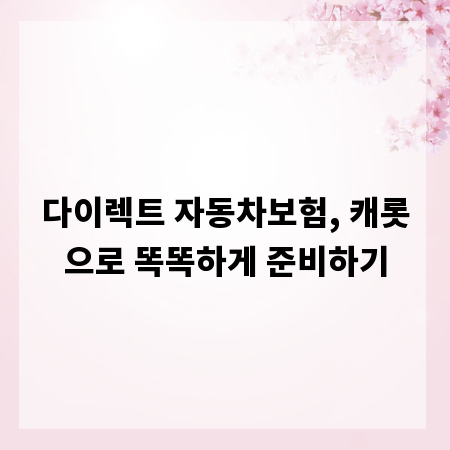 다이렉트 자동차보험, 캐롯으로 똑똑하게 준비하기